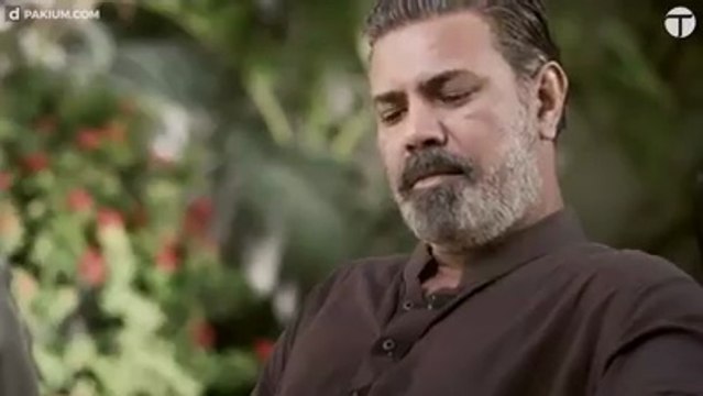 5 reason Why Pakistani movie MAALIK was banned accross Pakistan