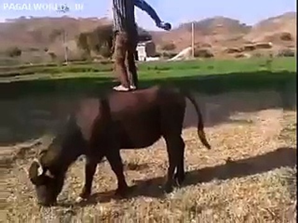 Abhi tu party shorooo hoi he...!!!