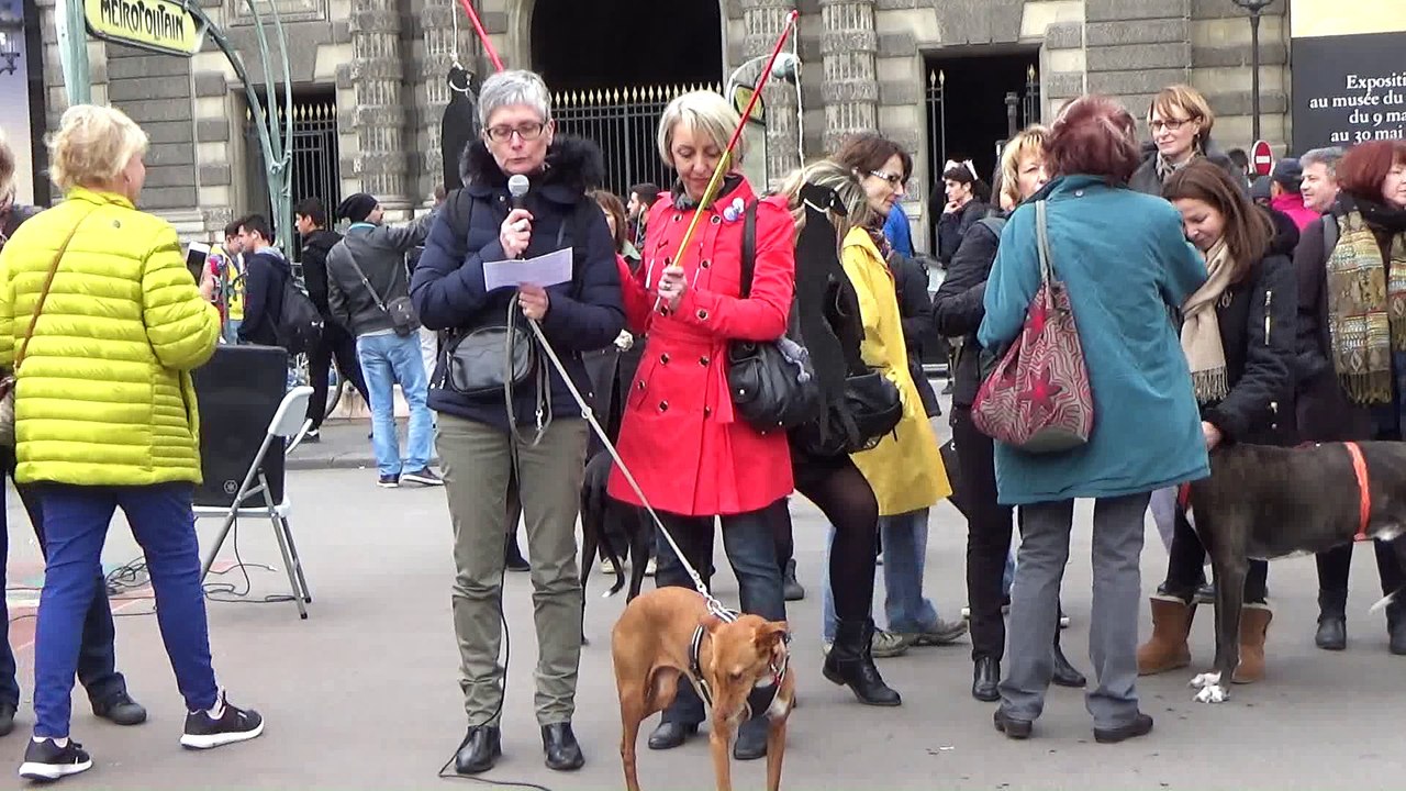 rassemblement lévriers 2016 Paris