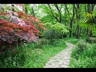 SENCILLA INVITACIÓN - POEMA DE VERANO BRISAS