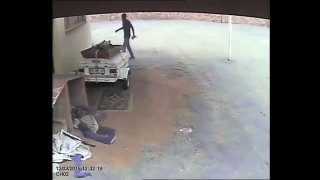 Ladrón intenta robar una casa y el perro lo recibió así - Quiso entrar a robar perro da su merecido (suscribete)
