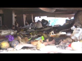 Ratas en el restaurant casa Valadez