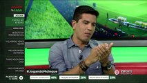 Palmeiras prepara faxina no elenco