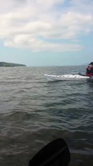 Kayaker's Extremely Close Encounter With Whale in Vancouver Bay