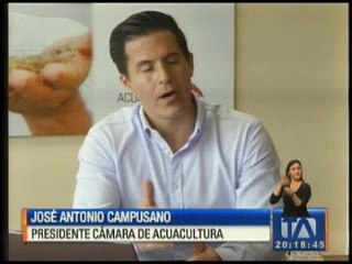 Sector camaronero necesita reconstruir su infraestructura