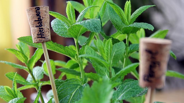 9 Things You Can Make With Wine Corks - Hacking life