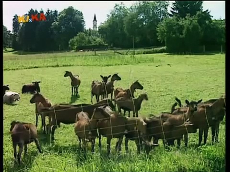 Löwenzahn Classics 133 Peter guckt ins Käseloch