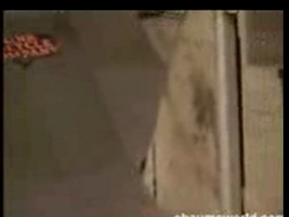 Roller casse noisett