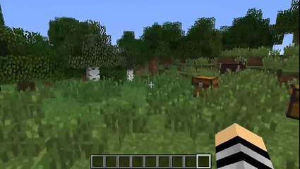 minecraft mods #ep 2 mod do Naruto C jutsus roupas e mais !