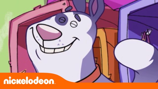 ESCOLA PRA CACHORRO - O SUPER KODA