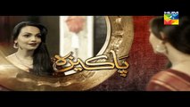 Pakeeza Episode 13 Promo HD - HUM TV Drama 28 April 2016