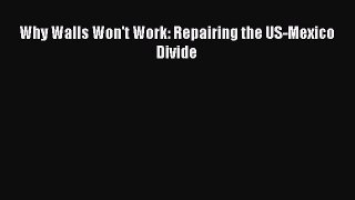 Book Why Walls Won't Work: Repairing the US-Mexico Divide Download Full Ebook