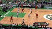 Jeff Teague Tweaks Ankle | Hawks vs Celtics | Game 6 | April 28, 2016 | NBA Playoffs