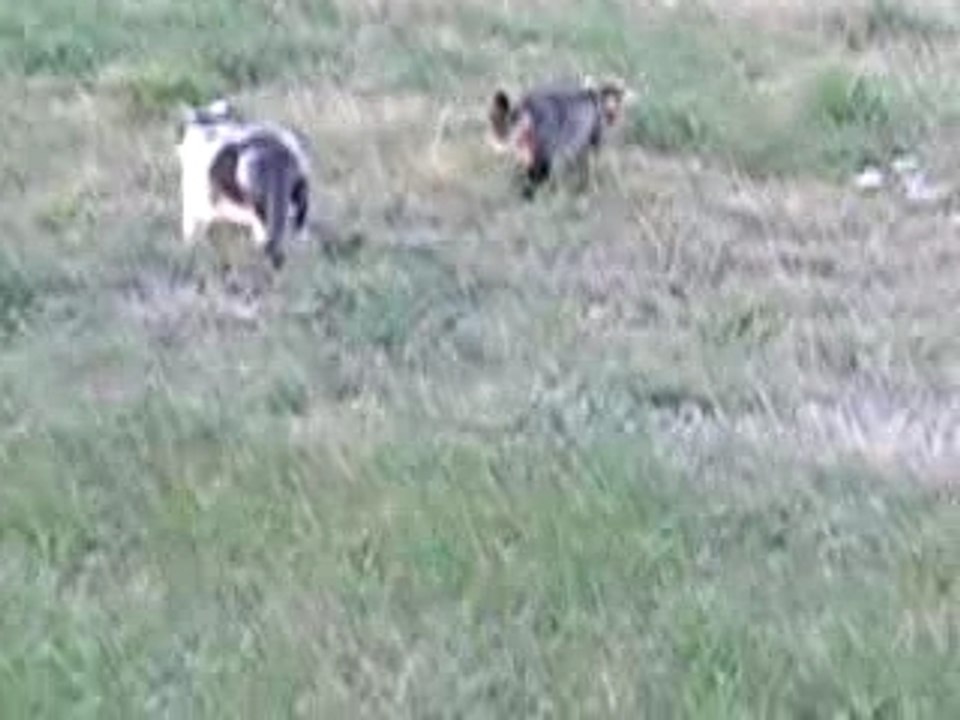 DSCN3756