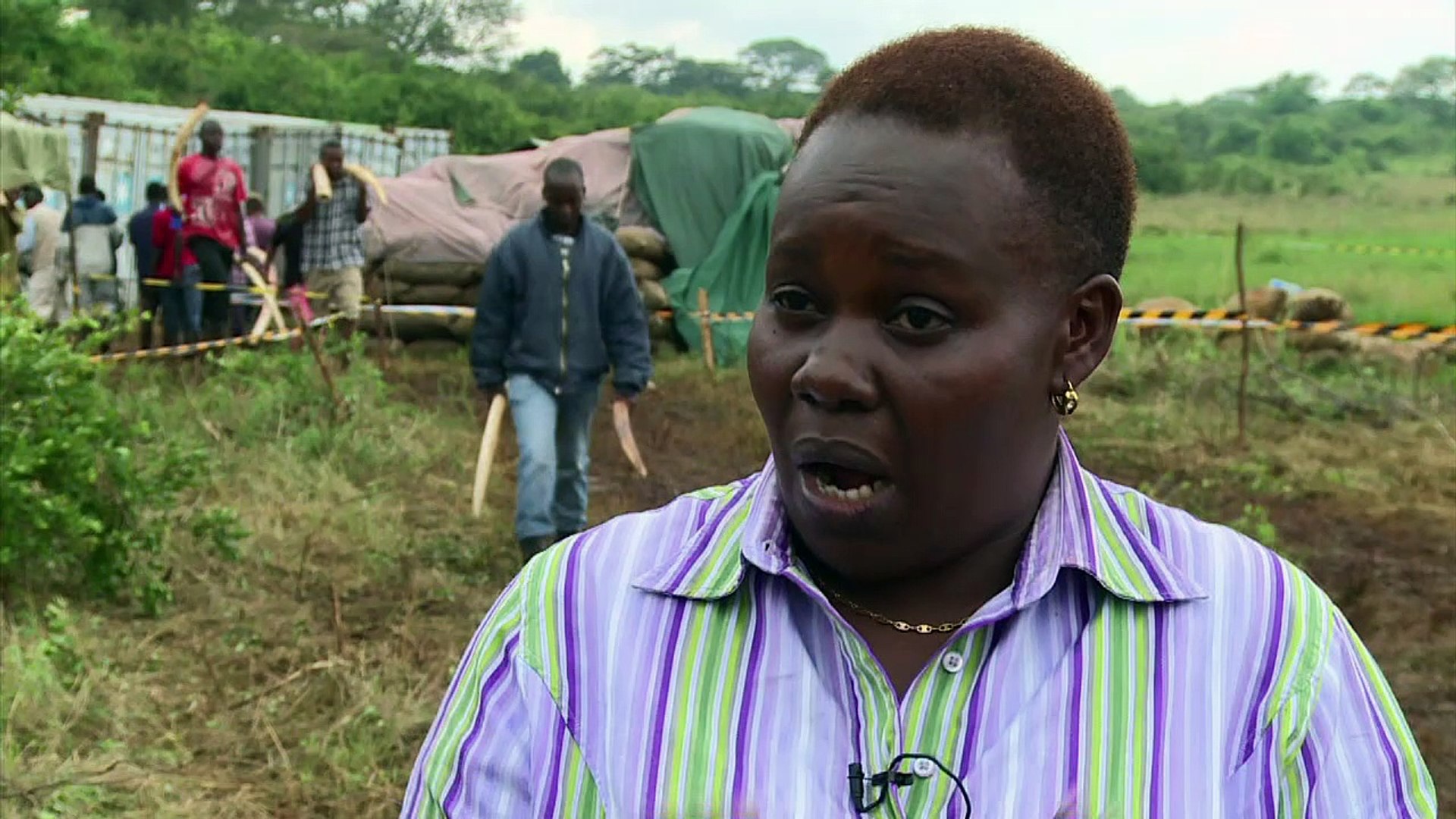 ⁣Kenya prepares to burn biggest ever illegal ivory stockpile