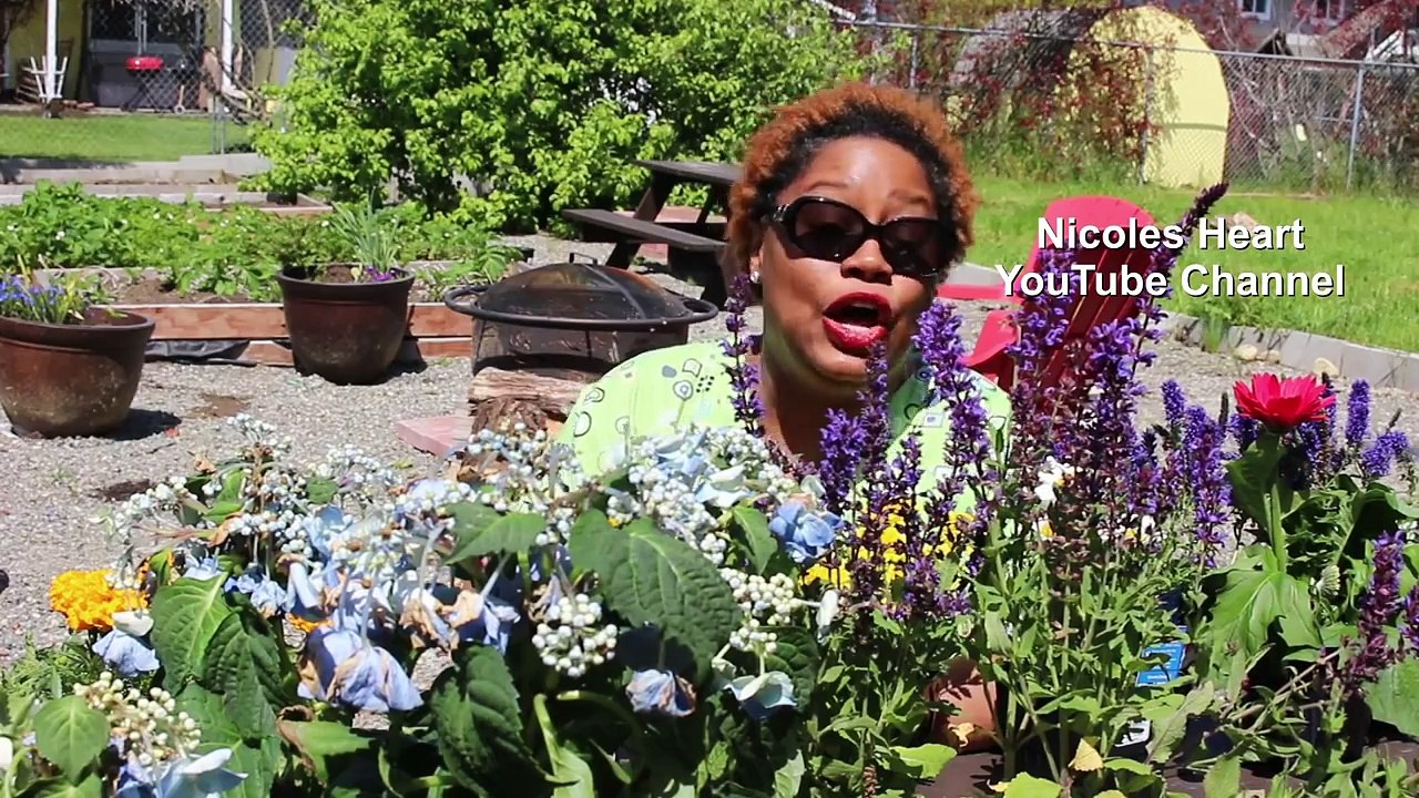 Container Gardening with Flowers, Annuals, Perennials