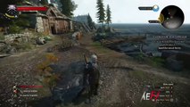 Strut - Witcher 3 Wild Hunt (Glitch) - GameFails