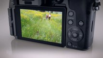 [NEW] Introducing Panasonic LUMIX DMC G7 A New Digital Single Lens Mirrorless Camera