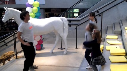 Animation zumba par francois-dupont.be