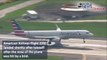 American Airlines Aircraft Returns to Airport After Bird Strike