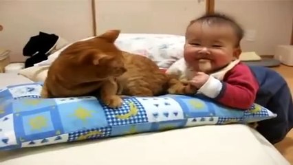 Kedinin kuyrugu ile oynanayan bebek