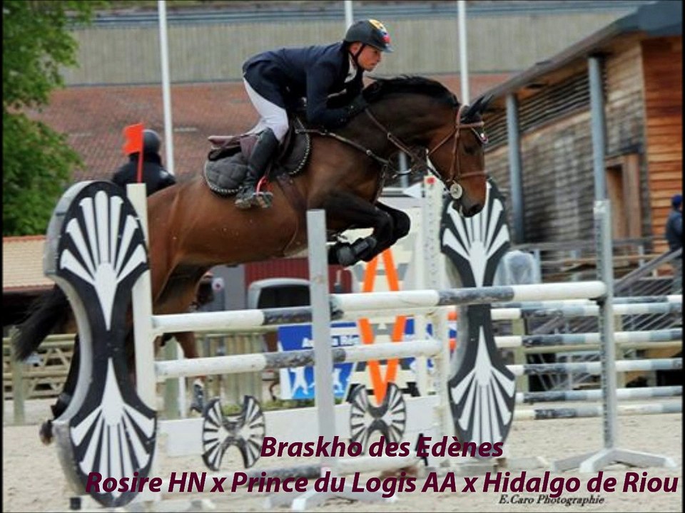 Braskho des Edènes - 5 ans qualif - Rosieres avril 2016