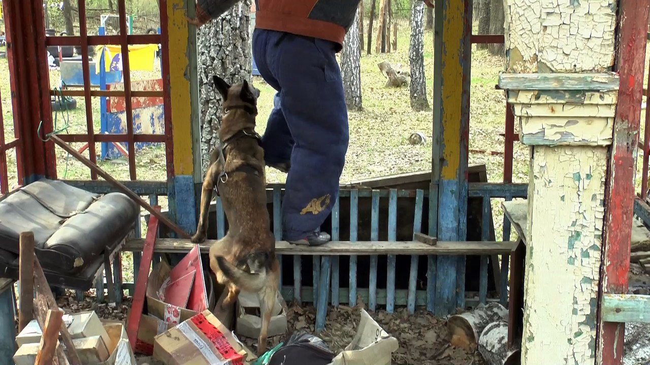 Вэлси и Ербол