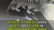 Bengal tigress gives birth to 4 cubs in Sarthana Nature Park