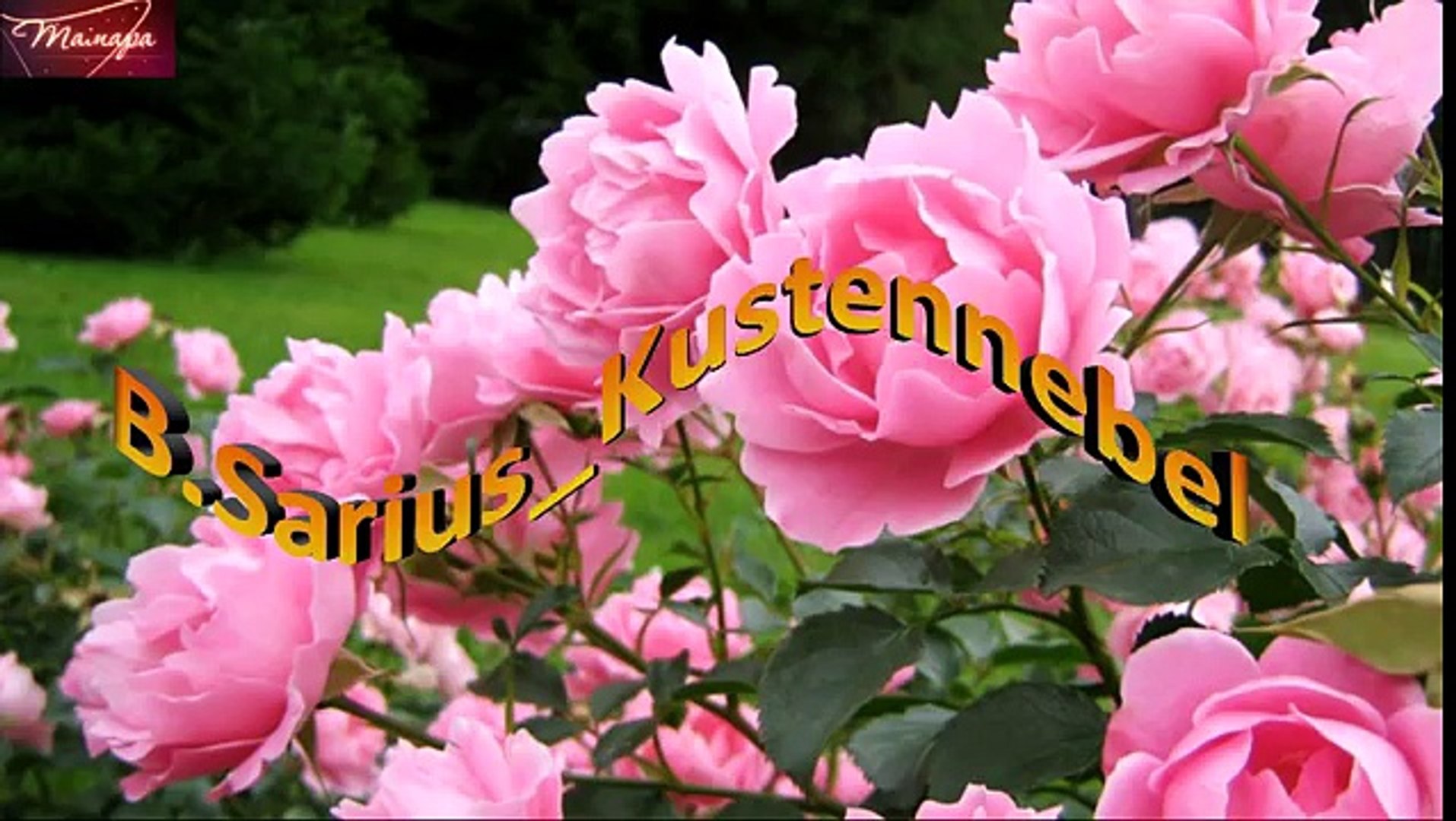 ⁣Музыка для души