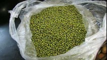 How to make Sprouts (Moong Bean)