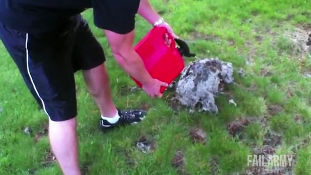 Best Fails of the Week 1 October 2014 -- FailArmy
