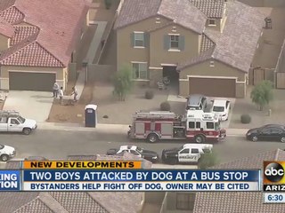 Two boys attacked by dog at bus stop