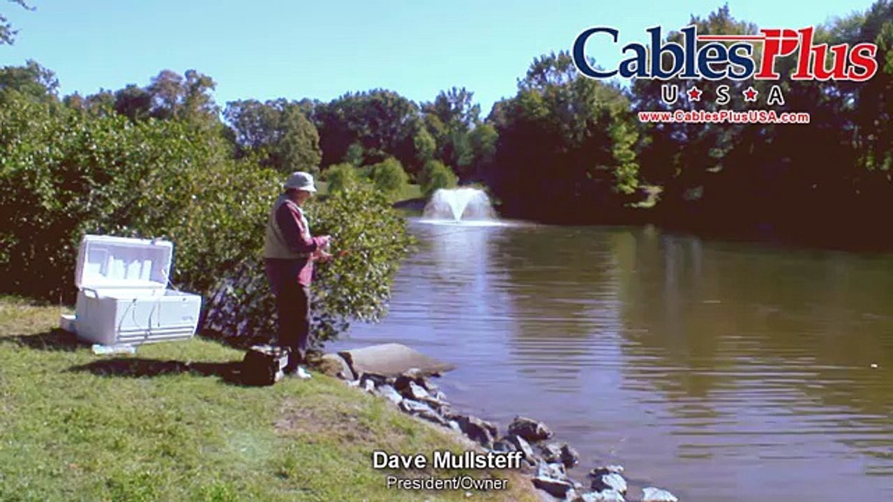 Fishing for Network Solutions - Cables Plus USA