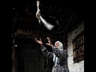 Taner Yüncüoğlu - Ey Beyaz Elâ