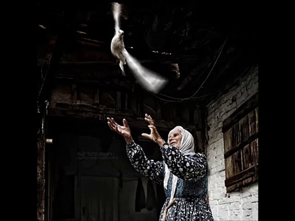 Taner Yüncüoğlu - Ey Beyaz Elâ