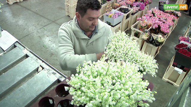 L'Avenir - Fête du 1er mai : il n'y aura pas de muguet pour tout le monde