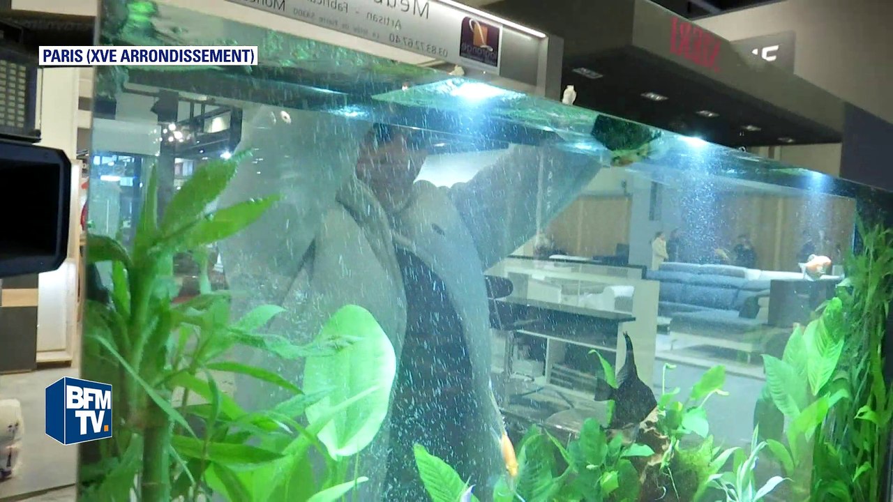 La Foire de Paris s'installe porte de Versailles