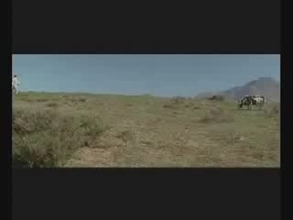 Matrix La Vache