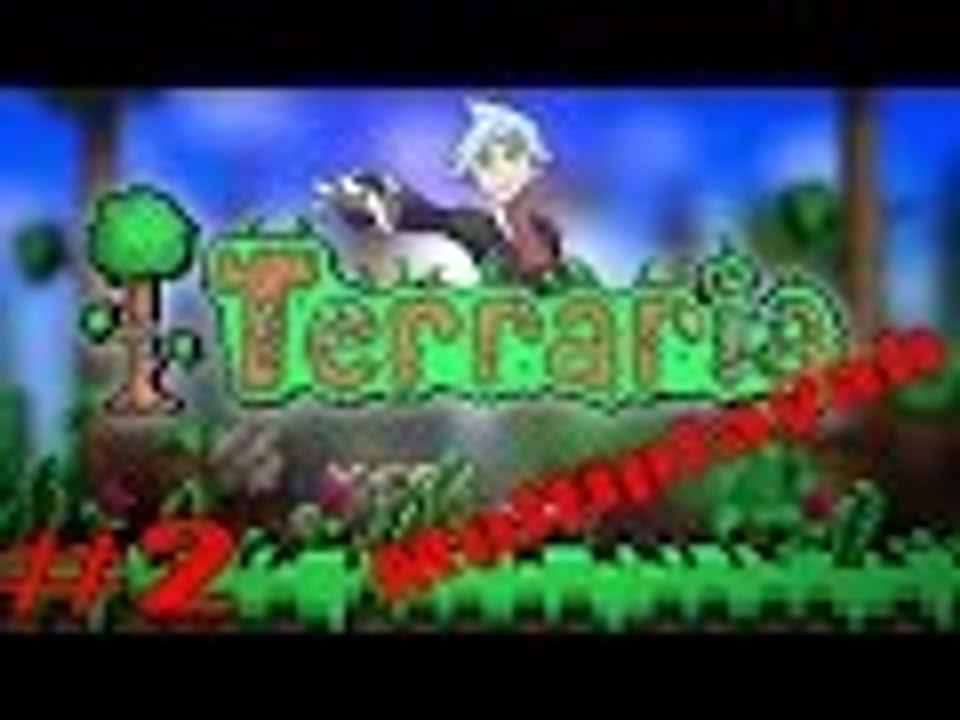 Terraria Multiplayer 2 #2: Nella Tana del Ragno