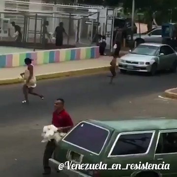 Saquearon camión de pollos vivos en el Zulia