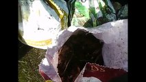 wood chips and leaves with horse muck and greenhouse