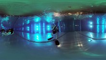 Compilation 360° ALPIUM 360