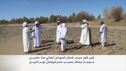 موجة جفاف تضرب قوز حبراب شمال السودان