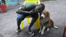 Cet homme n'aurait jamais dû coller son visage contre la tête de ce chien