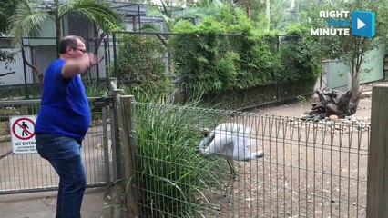 RTM Host Gayle Visits Australia and Things Get Wild