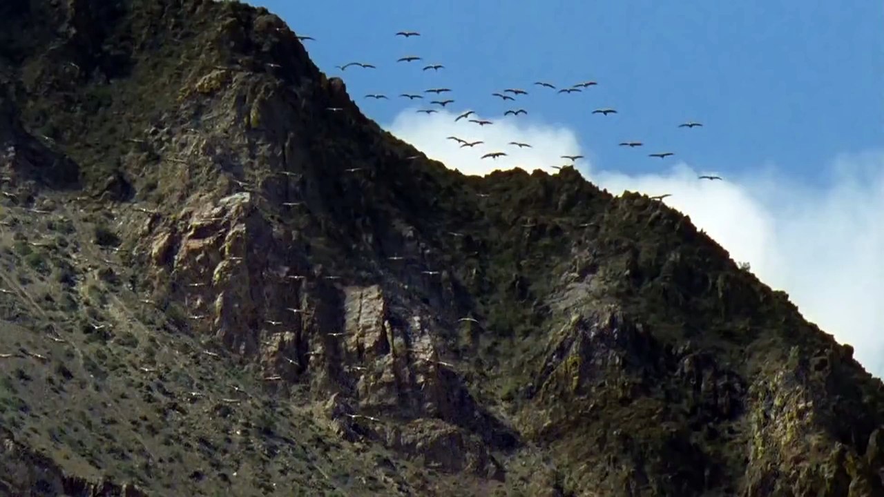 Méthode du Pr Lejoyeux pr être de bonne humeur : écouter 30mn de musique ch soir. MOZART Sonate pr 2 pianos K448