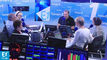 Animaux en chaleur : comment gérer cette période ?