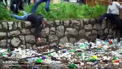 human live kindness on animals vedio