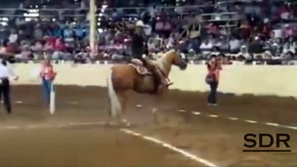 Animals humans fails laugh PART 6 by SDR