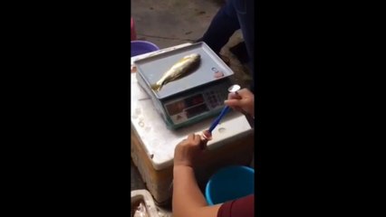 Chinese Seller Injecting Water Into Fish